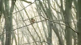 Твоє Життя Выпуск 214 Дружба