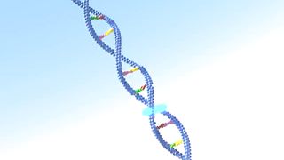 Бог чудес (2009)