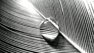 Бог чудес (2009)