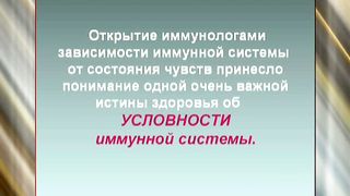 Эстер 15 Духовные и физические эквиваленты программы