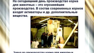 Эстер 12 Животные продукты нашего века