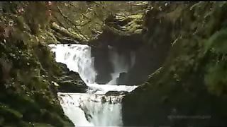 Голос любви Музыкальные клипы