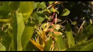 Голос любви Музыкальные клипы