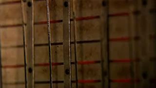 BBC: Невидимые миры (2010) 2