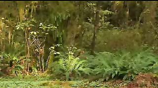 Мир вам видеоклипы