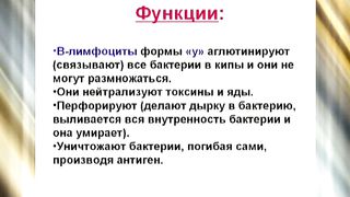 Эстер 21 Сила имунной системы