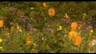 Вічне джерело - кліпи