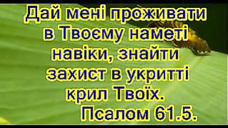 Видео псалмы