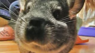 Воззови ко Мне - Вадим и Алена Монах