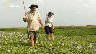 Анаконда Королева змей (2010)