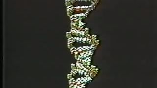 Крах теории эволюции 2