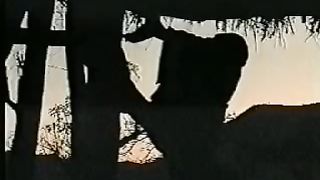 Крах теории эволюции 3