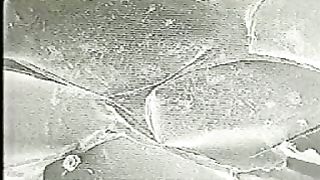 Крах теории эволюции 3