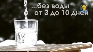 Человек может прожить