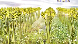 Анатолий Мокляк - Вера это не топор