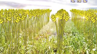 Анатолий Мокляк - Бремя которое дает тебе Господь