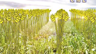 Анатолий Мокляк - Евангелие Царства 1