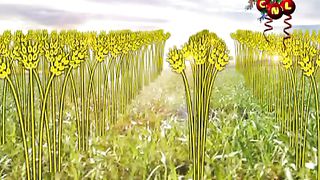 Анатолий Мокляк - Мы Им живем движемся и существуем