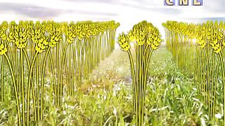 Анатолий Мокляк - Оружие против дьявола