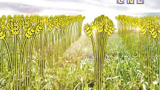 Анатолий Мокляк - Не моя но Твоя воля да будет