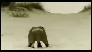 Meydad Tasa - Yerushalayim