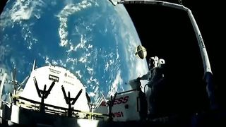 Звезда Рождества