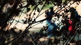 Современный добрый самаритянин