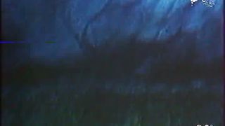 Отверженные (1988)