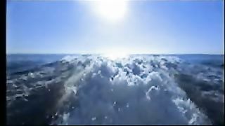 Моя земля - видеоклипы