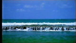 Моя земля - видеоклипы