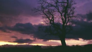 ПРЕСВЯТИЙ БОЖЕ НАШ…