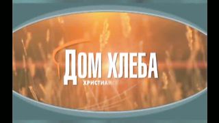 Александр Шевченко - Контракт или Завет