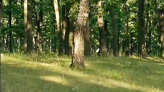 Тетушка Ре и её друзья - Пчёлка