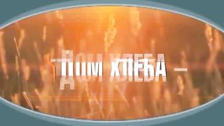 Александр Шевченко - Опасный элемент общества