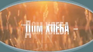 Александр Шевченко - Искусство быть семьёй