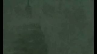 Биометрический паспорт 2010