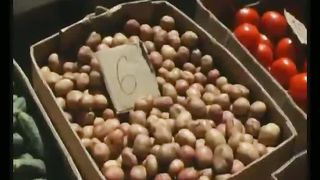 Биометрический паспорт 2010