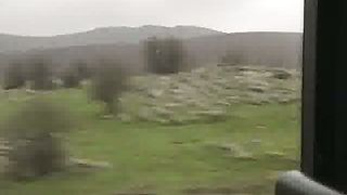 Добро пожаловать в Израиль 6