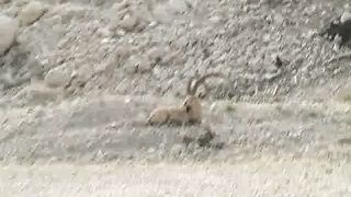 Добро пожаловать в Израиль 9