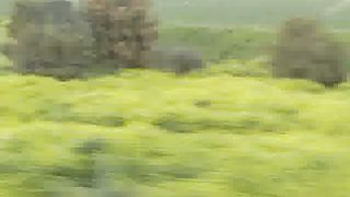 Добро пожаловать в Израиль 10