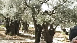 Добро пожаловать в Израиль 13