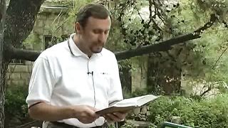 Добро пожаловать в Израиль 14