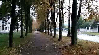 Интервью с Людвигом Голосинским