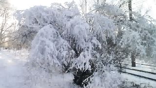 Оксана Костина - Грустная рождественская