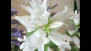 Оксана Костина - Дух Святой