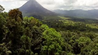 Оксана Костина - суета