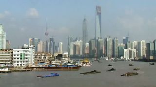 Оксана Костина - суета