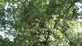 Мужской хор - Придите поклонимся