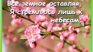 Свято чтимо это место Караоке