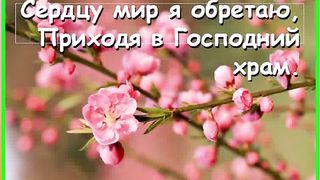 Свято чтимо это место Караоке